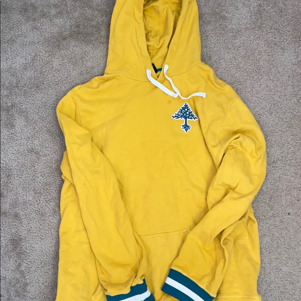 LRG cozy hoodie